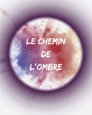 Le chemin de l'ombre Amandine Chaix