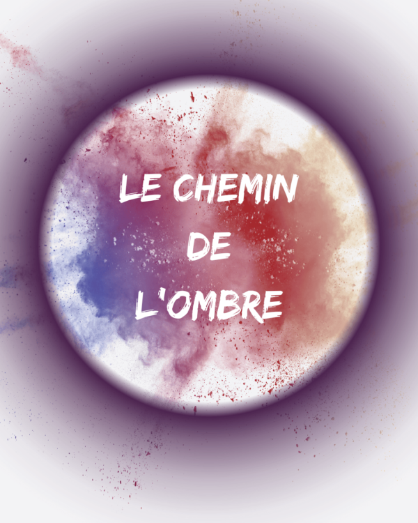 Le chemin de l’ombre Amandine Chaix