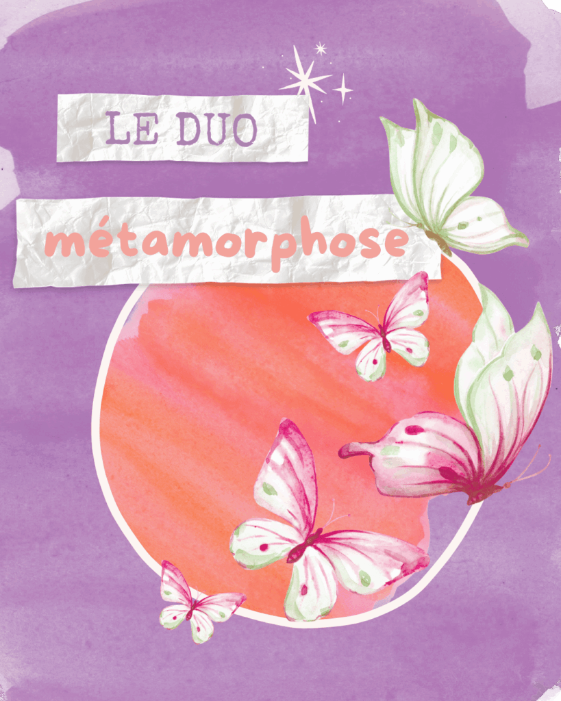 Amandine Chaix L'éclaireuse Thérapeute Constellation familiale